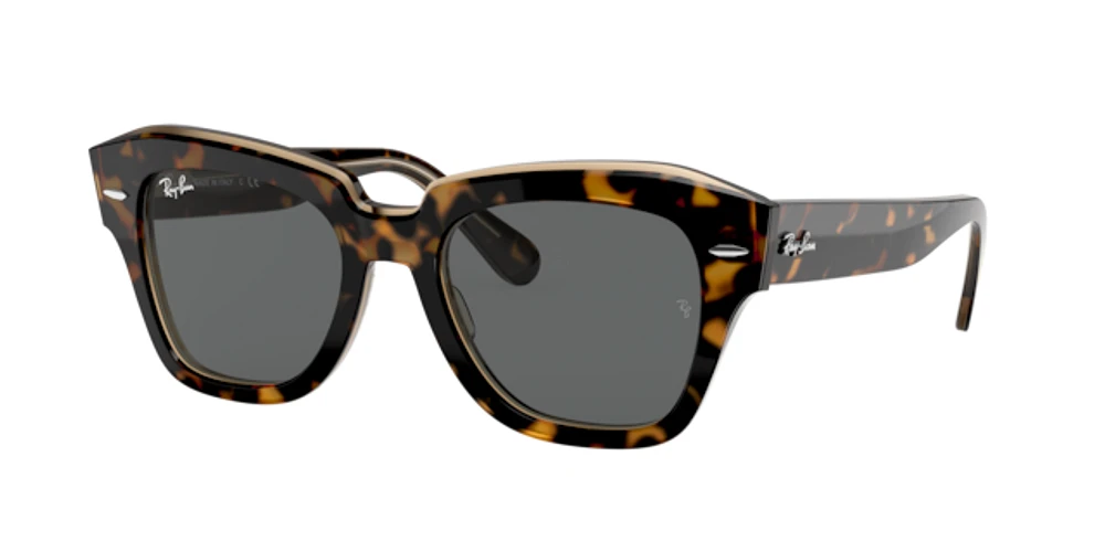 Ray-Ban Woman Havana On Transparent Brown