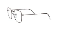 RB3857V Frank Optics