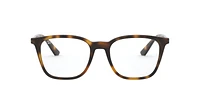 RB7177 Optique