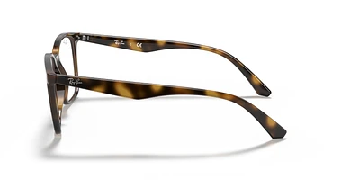 RB7177 Optique