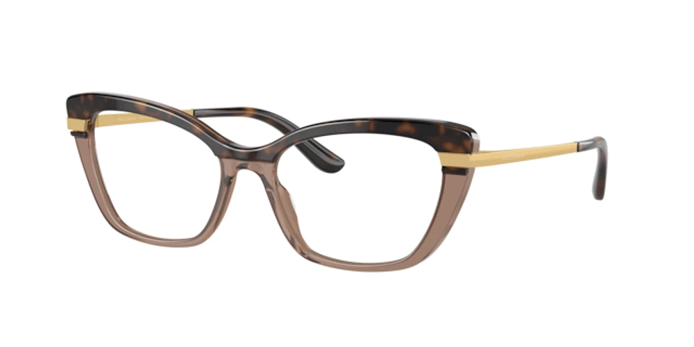 Dolce&Gabbana Woman Havana On Transparent Brown