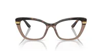 Dolce&Gabbana Woman Havana On Transparent Brown