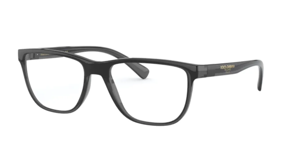 Dolce&Gabbana Man Transparent Gris, Noir