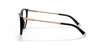 TF2206