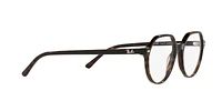 RB5395 Thalia Optics