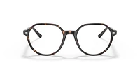 RB5395 Thalia Optics