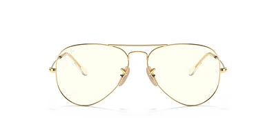 RB3025 Aviator Clear Evolve