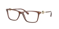 Versace Woman Transparent Brown