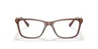 Versace Woman Transparent Brown