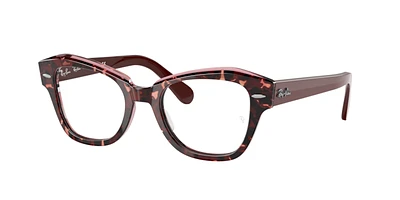 Ray-Ban Unisex Havana On Transparent Purple