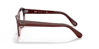 Ray-Ban Unisex Transparent