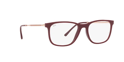 RB7244 Optique