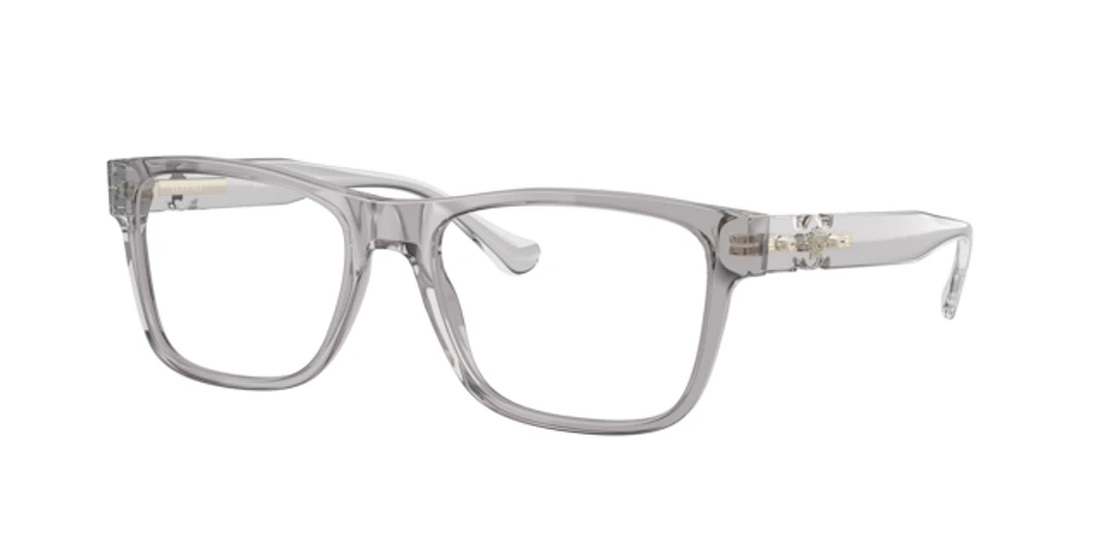 Versace Man Transparent Grey