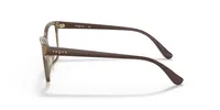 Vogue Woman Transparent Brown