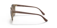 Vogue Woman Transparent Brown