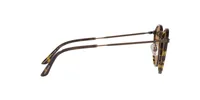 AR 318SM