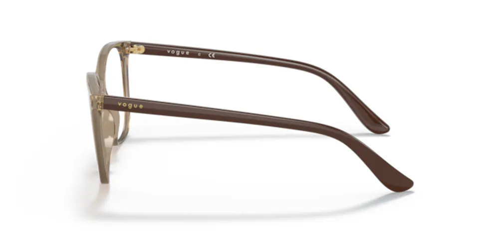 Vogue Woman Transparent Brown