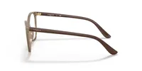 Vogue Woman Transparent Brown