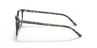 RB5397 Elliot Optics