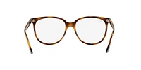 RB4378V Optics