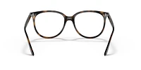 RB4378V Optics