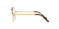 RB3625V New Aviator Optics