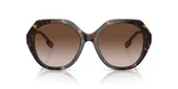 Burberry Woman Dark Havana