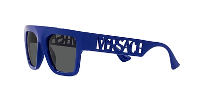 VE4430U