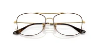 RB6499 Optique