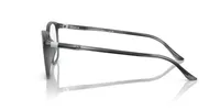Starck Man Transparent Gris