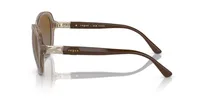 Vogue Woman Transparent Brown