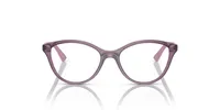 Vogue Unisex Transparent Violet