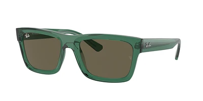 Ray-Ban Unisex Transparent