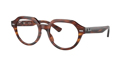 Ray-Ban Unisex Striped Havana