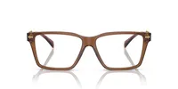 Versace Woman Transparent Brown