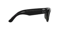 RBR0502S Wayfarer Reverse