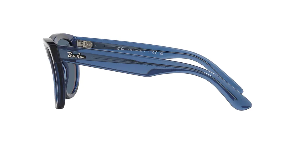 RBR0502S Wayfarer Reverse