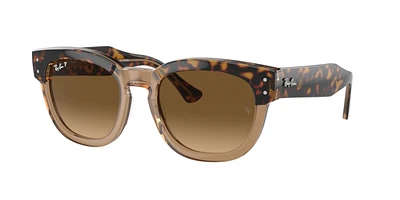 Ray-Ban Unisex Havana On Transparent Brown