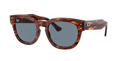 Ray-Ban Unisex Striped Havana