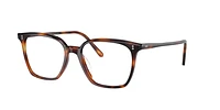 OV5488U Rasey