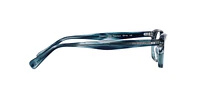 OV5501U Edelson
