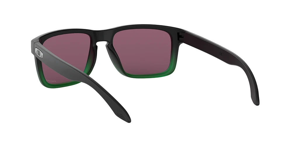 OO9102 Holbrook™ Jade Fade Collection