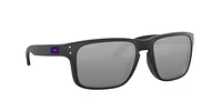 OO9102 Baltimore Ravens Holbrook™