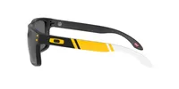 OO9102 Pittsburgh Steelers Holbrook™