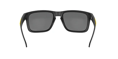 OO9102 Pittsburgh Steelers Holbrook™