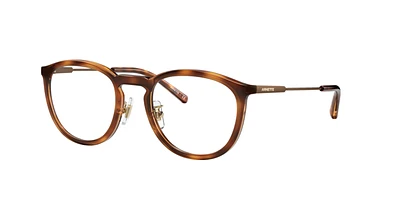 Arnette Unisex Havana Brown