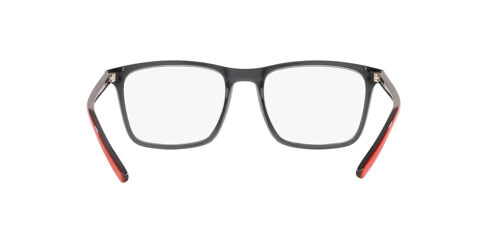 AN7209 Frogface