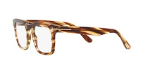 Tom Ford Man Écaille De Tortue Blonde