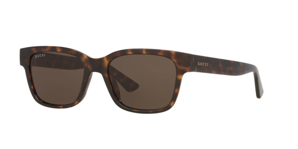 Gucci Man Écaille De Tortue
