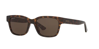 Gucci Man Écaille De Tortue